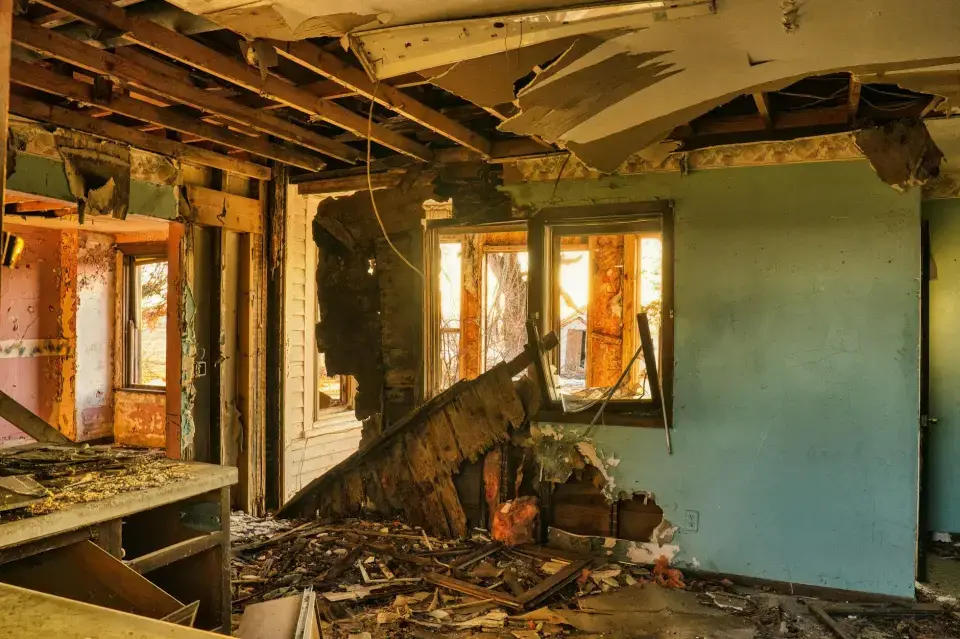 Oceanside's Trusted Local Mold Removal Specialists — Oceanside, CA